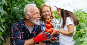 brezplačna pomoč družbi