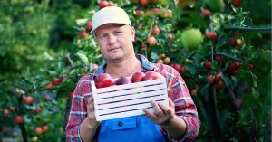 poletna sezonska dela