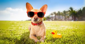 Nadomestilo za neizkoriščen dopust