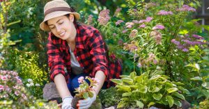 urejanje vrta in vrtnarjenje