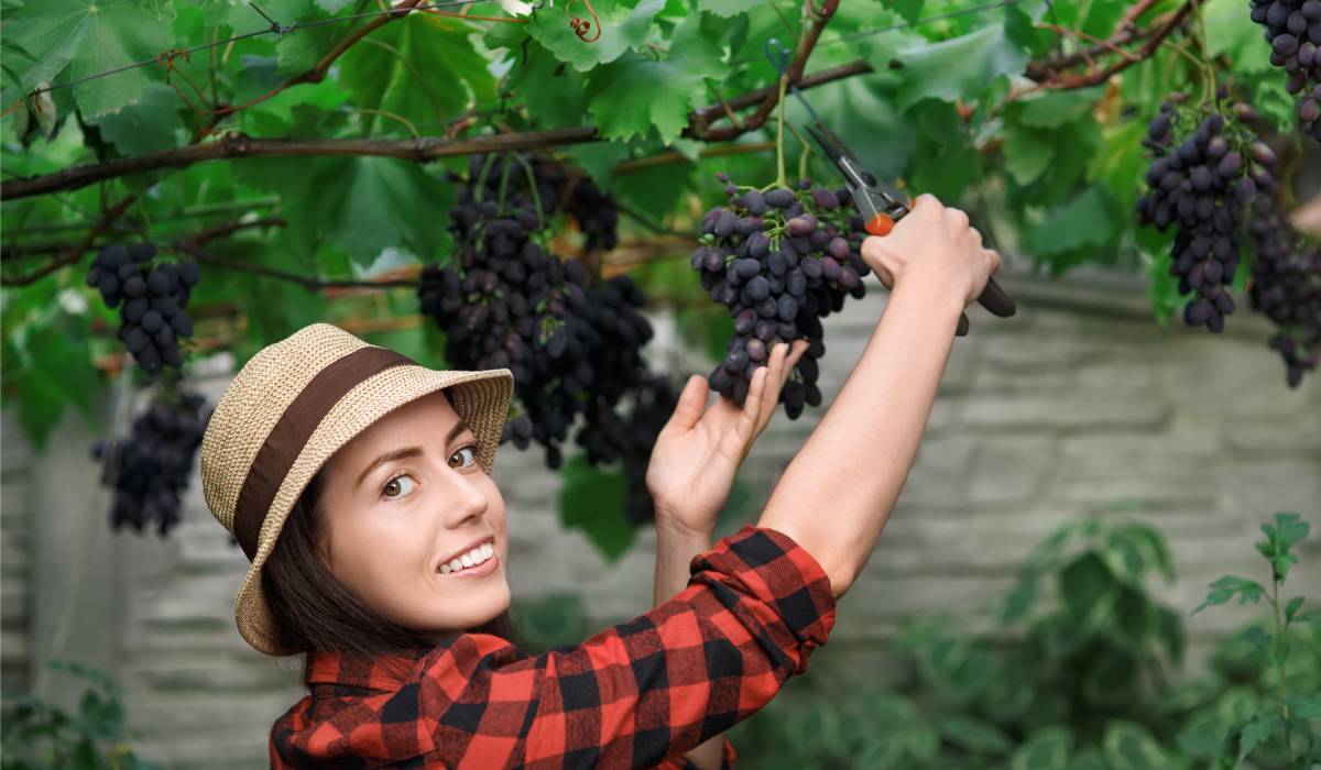 trgatev kot podjetniška priložnost