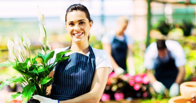 pogoji za odprtje sp