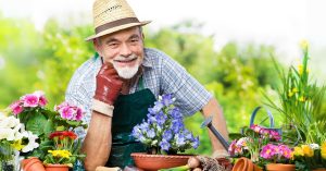 začasno in občasno delo upokojencev