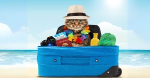 koliko dopusta mi pripada