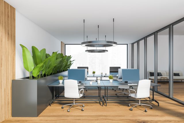 najem virtualne pisarne za tujce